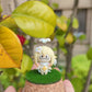 【genshin】Character Aranara